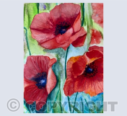 Poppies 1