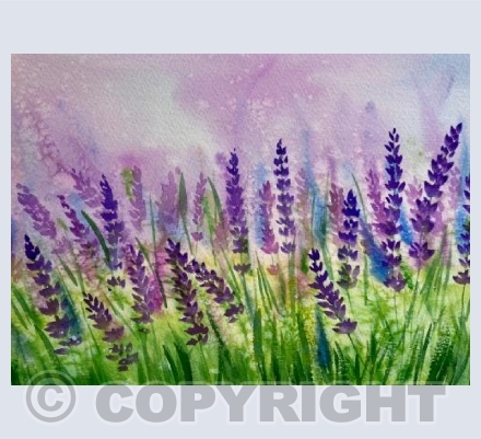 Lavender 4