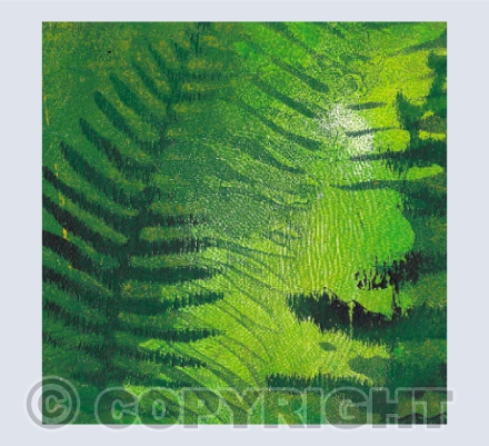 Fern Shadow Print
