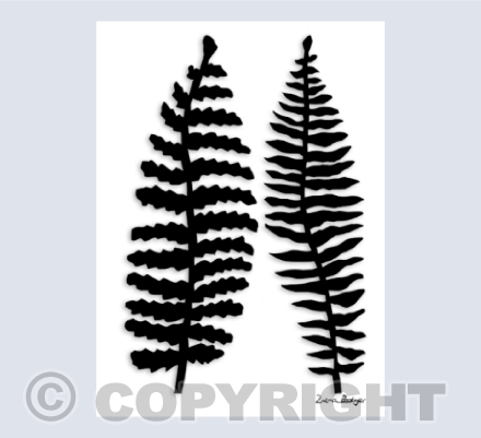 Fern Finery 3