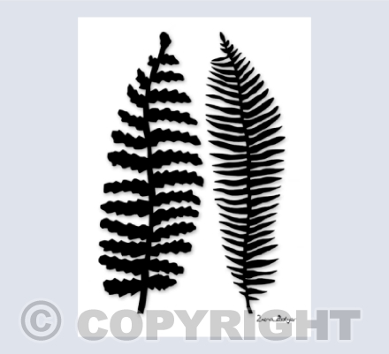 Fern Finery 2