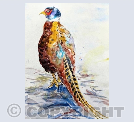 Pheasant