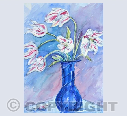 Stripey Tulips