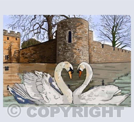 Swans at the Bishop's Palace