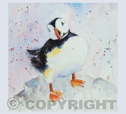 Cute Puffin