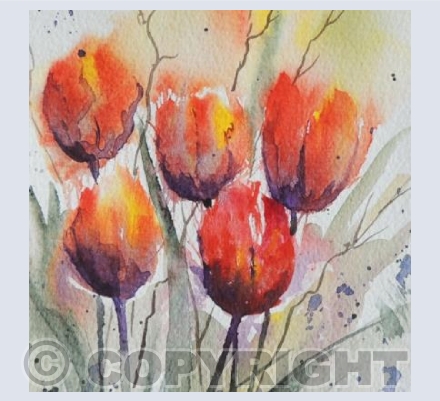 Tulips