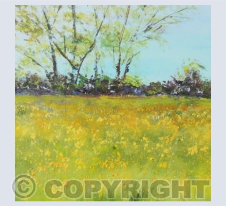 Buttercup Fields