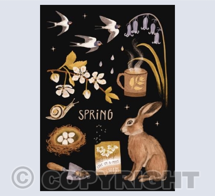 Spring