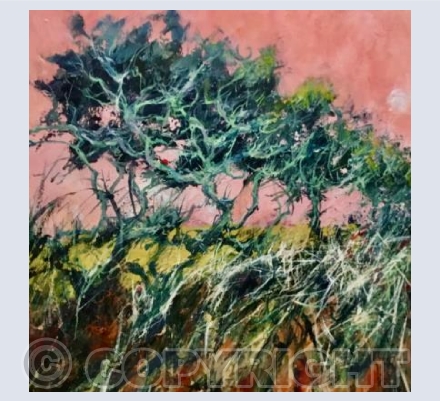 Winter Hedge 3