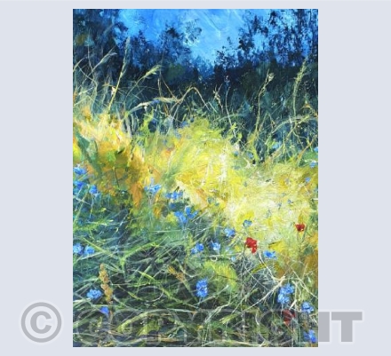 Cornflowers
