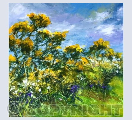Gorse