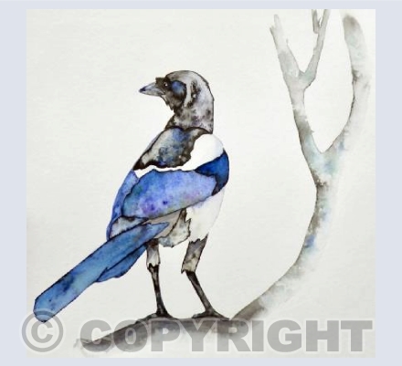 Magpie