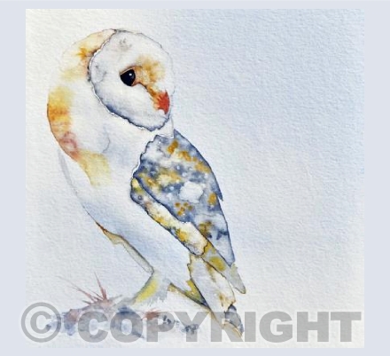 The Barn Owl