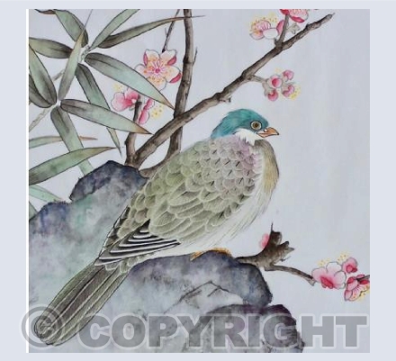 Turtle Dove