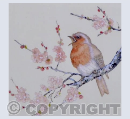 Robins Spring Song