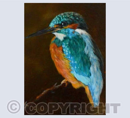 Kingfisher (oil)