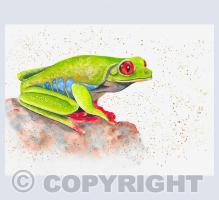 Green Tree Frog