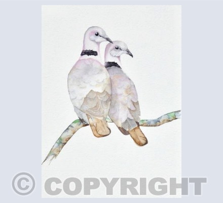 Lovey Dovey Doves