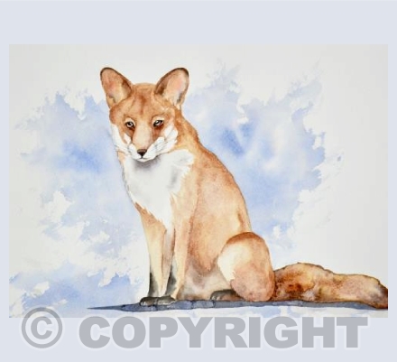 Hey Mr Fox..
