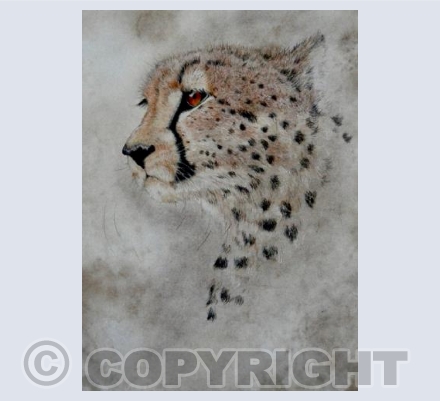 Cheetah's disuise