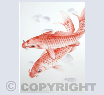 Red Koi Carp