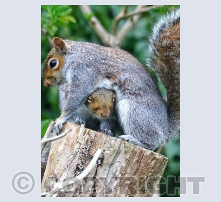 I can fit under here