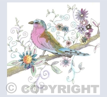 Little birdy