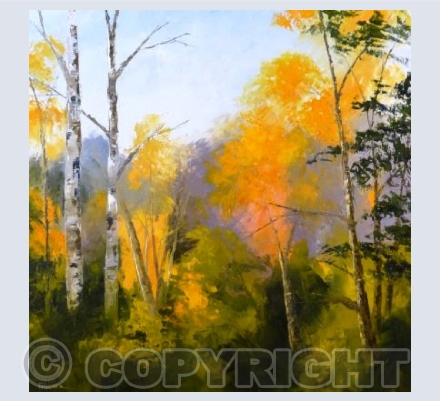 Solace Of The Trees