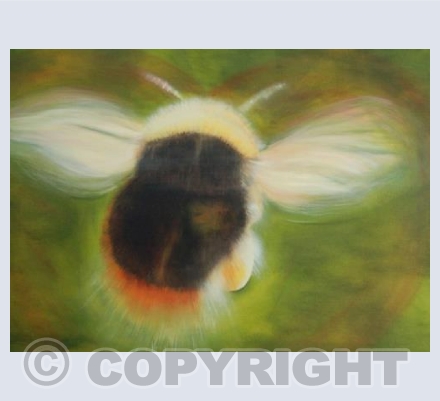 love will carry me home