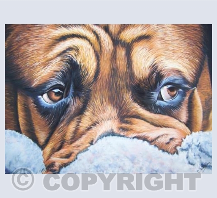 It Wasn't Me