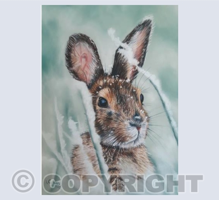 Festive Bunny