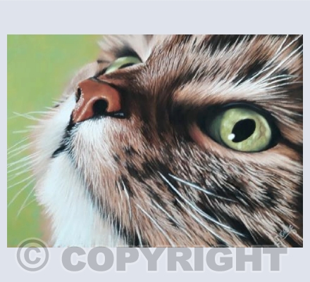 What green eye's you have