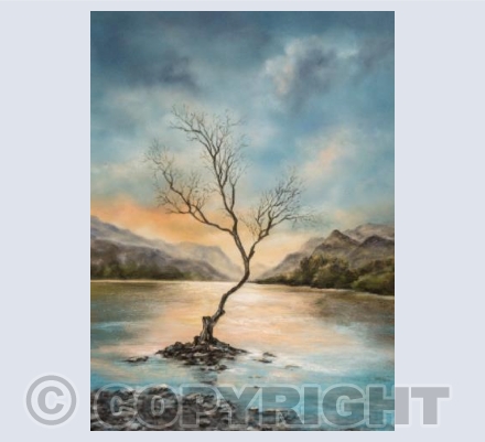 Lonely Tree