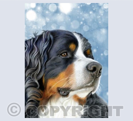 Winter Wonder in Blue