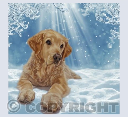 Golden Retriever in Snow