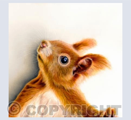 Cyril the Squirrel