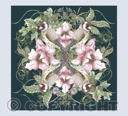 Goldfinch dark