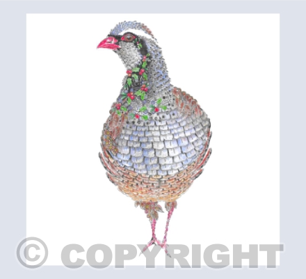 Partridge
