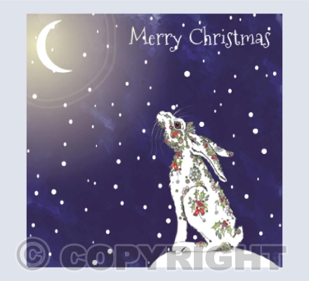 Hare Merry Christmas