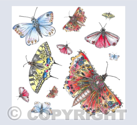 Butterflies