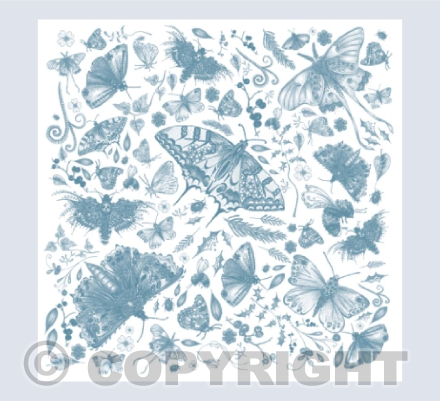 Butterfly blue wash