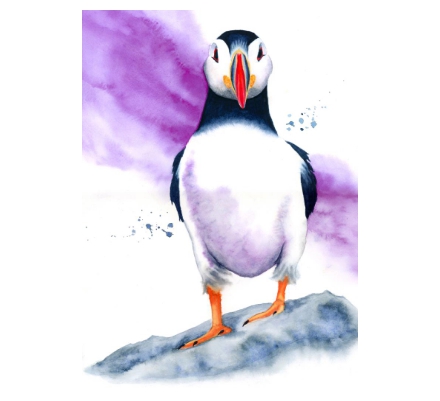 Puffin watercolour - Standing proud