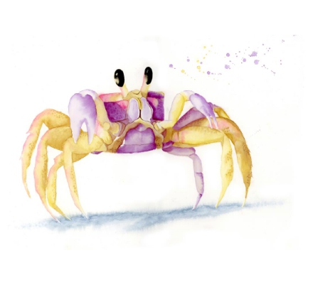 Crab watercolour - Escape to the beach