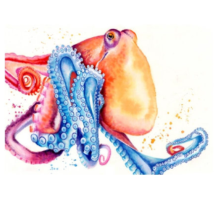 Octopus watercolour - Under the sea