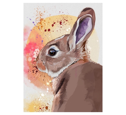 Rabbit digital - Bright eyed at sunrise