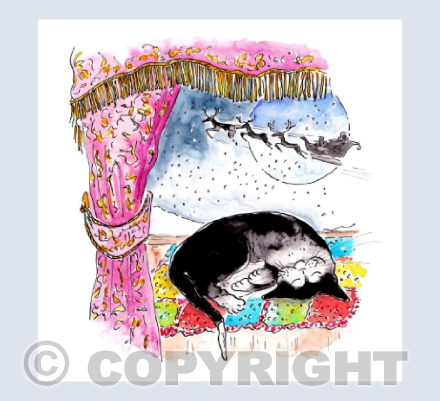 Merry Christmas - Cat snoozing