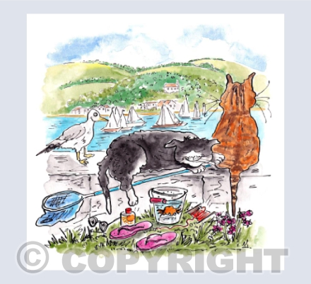 Watching the sailing