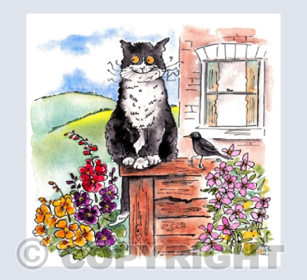 The lookout