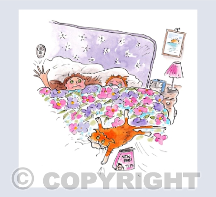 The baby monitor - New baby