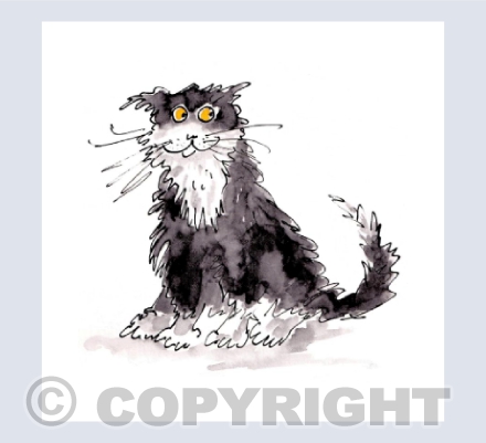 The tom cat